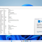 Screenshot #3 - Windows 11 Pro 23H2 Build 22631.4037 Full August 2024