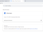 Screenshot #2 - Chromium Browser v123.0.6265.0 x64 + x86