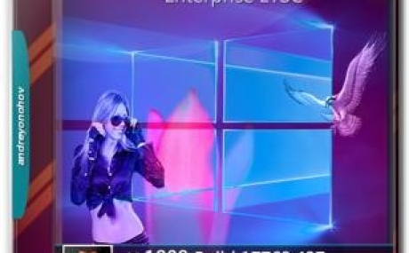 Windows 10 Enterprise LTSC 17763.437 Version 1809 2DVD (x86-x64)