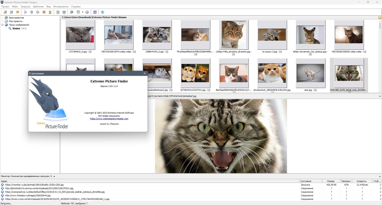 Screenshot #5 - Поиск картинок Extreme Picture Finder 3.65.11.0 RePack by elchupacabra