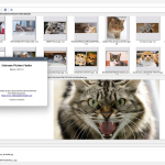 Screenshot #5 - Поиск картинок Extreme Picture Finder 3.65.11.0 RePack by elchupacabra