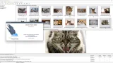 Screenshot #5 - Поиск картинок Extreme Picture Finder 3.65.11.0 RePack by elchupacabra