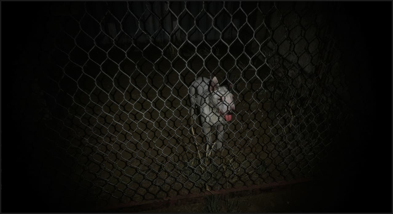 Screenshot #10 - Granny: Escape Together