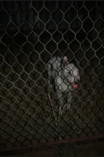 Screenshot #10 - Granny: Escape Together