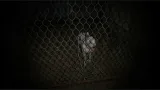 Screenshot #10 - Granny: Escape Together
