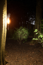 Screenshot #12 - Dr. Gloom's Lab