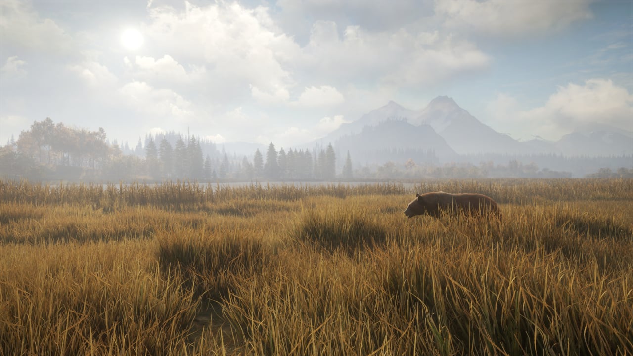 Screenshot #2 - theHunter: Call of the Wild