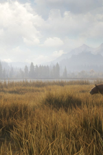 Screenshot #2 - theHunter: Call of the Wild
