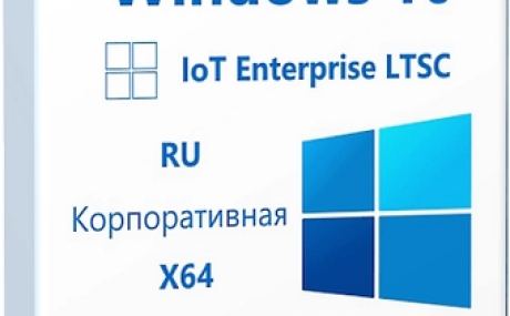 Windows 10 IoT Enterprise LTSC 2021 21H2 x64 Русская by OVGorskiy 12.2024
