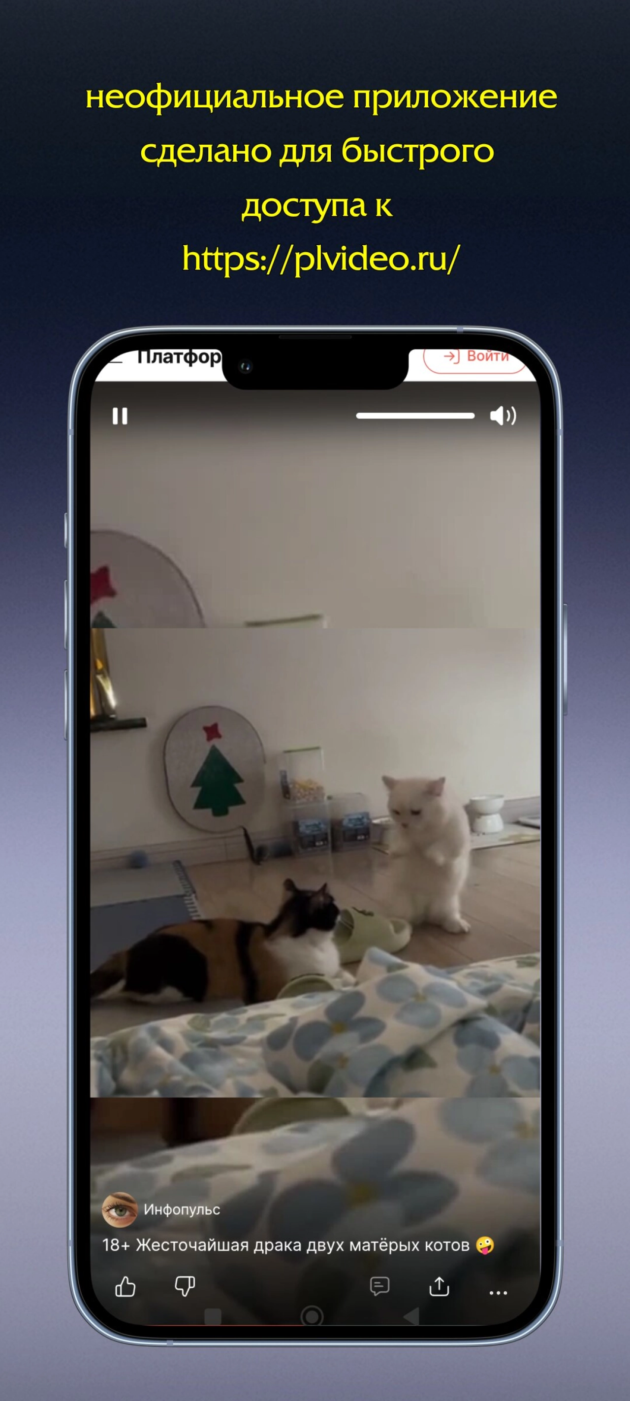 Screenshot #3 - ПЛАТФОРМА: ВИДЕОХОСТИНГ