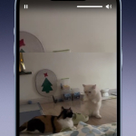 Screenshot #3 - ПЛАТФОРМА: ВИДЕОХОСТИНГ