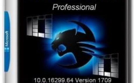 Windows 10 Professional VL (x86/x64) Elgujakviso Edition