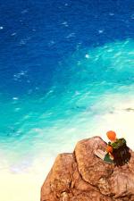 Screenshot #6 - Albatroz