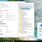 Screenshot #3 - Windows 10 Pro 22H2 Build 19045.5608 Full Март 2025