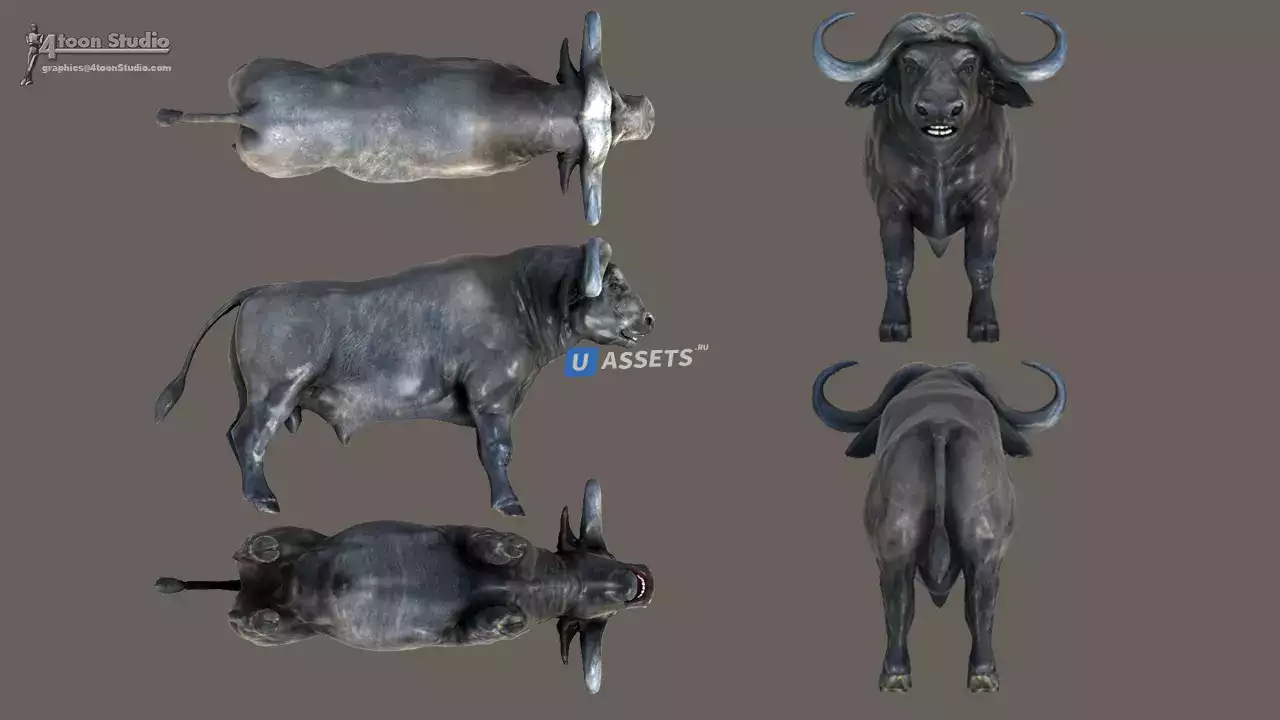 Screenshot #2 - African Animal Pack 2