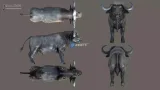 Screenshot #2 - African Animal Pack 2