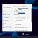 Screenshot #13 - Windows 11 Pro 23H2 Build 22631.5039 FullOS + GameOS + LiteOS by Revision
