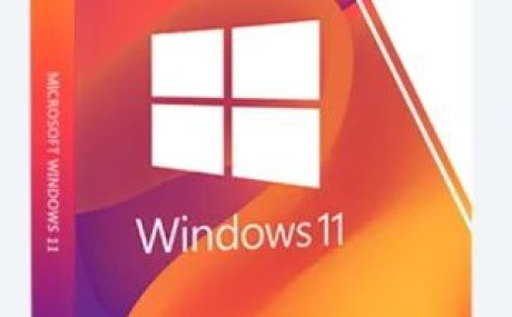 Windows 11 PRO Insider 22449.1000 x64 RUS [GX]