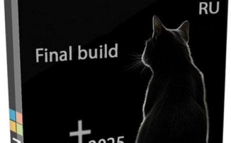 Windows 10 x64 Pro Final Build 2025 by Revision