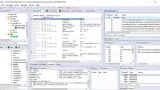 Screenshot #3 - JEB Decompiler 5.19.0.202410291816 mod by CXV