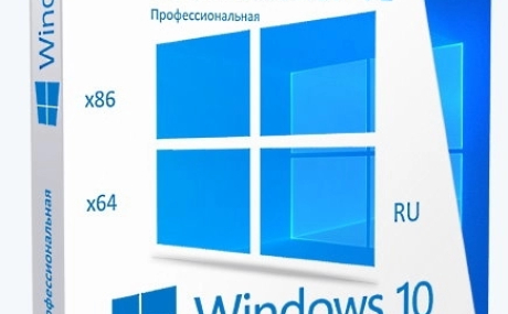 Windows® 10 Professional VL x86-x64 21H2 RU by OVGorskiy 08.2022