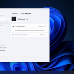 Screenshot #6 - Windows 11 Pro 22H2 build 22621.607 Del Apps by WebUser