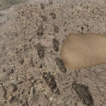 Screenshot #3 - Living Mud URP