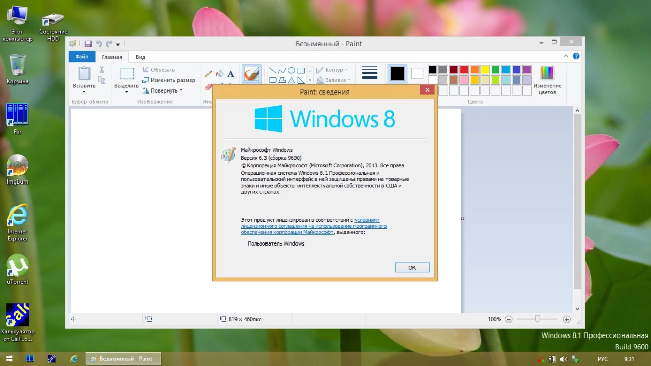 Screenshot #5 - Windows 8.1 для слабых ПК Pro (6.3.9600.17056) Lite x64 by Divet