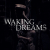 Waking Dreams