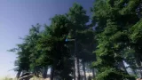 Screenshot #3 - Mountain Trees - Dynamic Nature