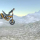 Side-Scroller Motorcycle Kit