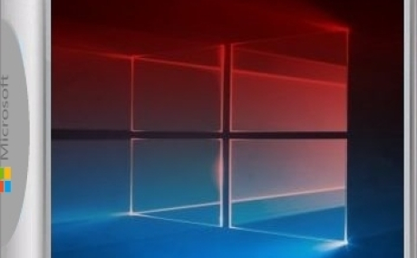 Windows 10 Enterprise LTSC 2019 17763.652 Version 1809 x86/x64 2 образа