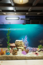 Screenshot #5 - Aquarist