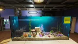 Screenshot #5 - Aquarist