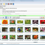 Screenshot #2 - Bulk Image Downloader 6.46 Repack