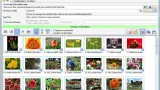 Screenshot #2 - Bulk Image Downloader 6.46 Repack