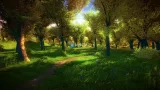 Screenshot #3 - Nature Starter Kit 2