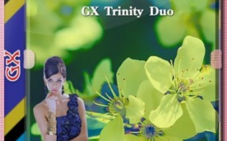 Windows 10 сборка PRO/WS/ENT 2004 GX Trinity Duo v.21.05.20