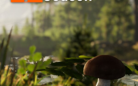 Mushroom Season