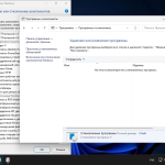 Screenshot #10 - Windows 11 Pro 23H2 [22631.2861 x64] Русская