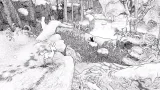 Screenshot #4 - Blanc