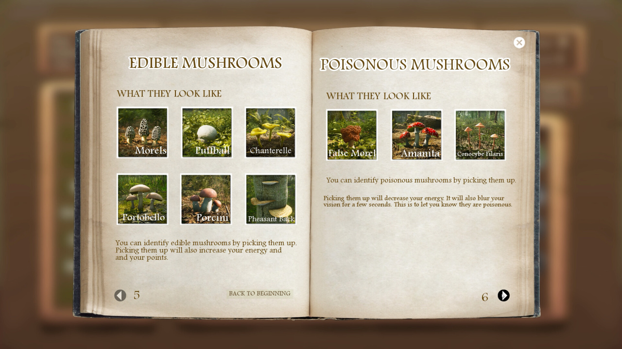 Screenshot #9 - Morels: The Hunt