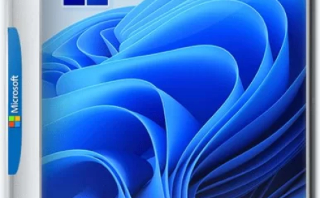 Windows 11 [10.0.22000.493], Version 21H2 (Updated February 2022) - Оригинальные образы от Microsoft MSDN