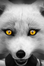 Screenshot #8 - Chicken Police: Into the HIVE!