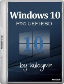 Windows 10 Pro 1709 x86/x64 by kuloymin v11.2 (ESD)