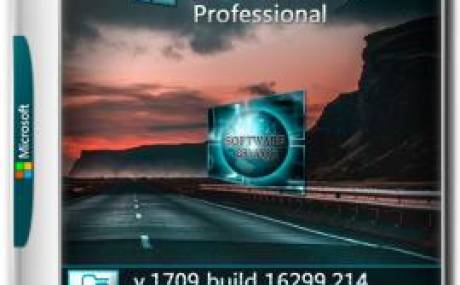 Windows 10 Professional [x64] v.1709 build 16299.214 Bryansk