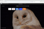 Screenshot #1 - Maxthon Browser 7.1.7.8000 + Portable