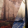 Seasonal Forest