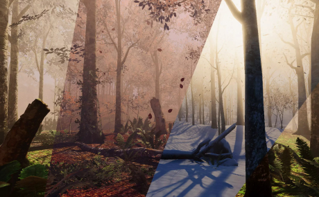 Seasonal Forest