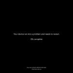 Screenshot #2 - Windows 11 Pro 24H2 Build 26100.4770 Preview